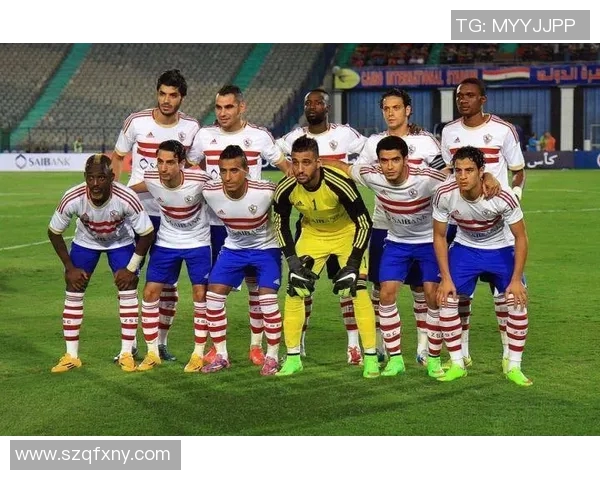 俄罗斯与埃及比赛裁判的公正性与争议分析